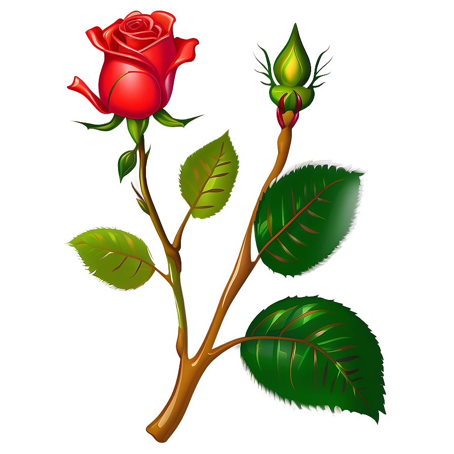 Rose Drawing Png 04292024