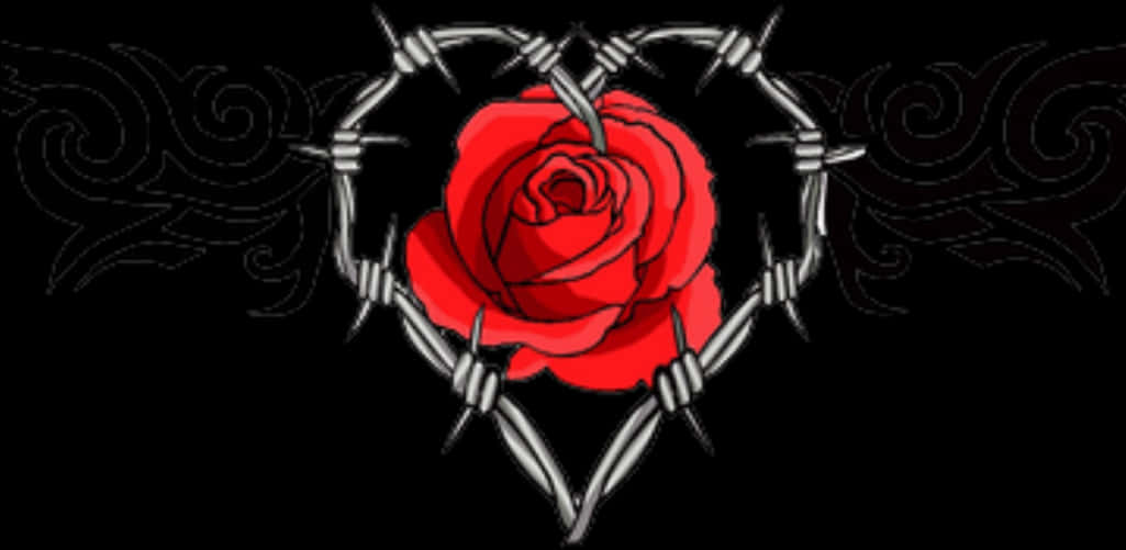 Rose Encasedin Barbed Wire PNG with transparent background