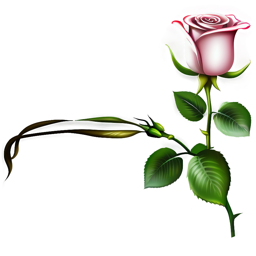 Rose Flower Transparent PNG quc PNG image with a transparent background, free high-resolution download