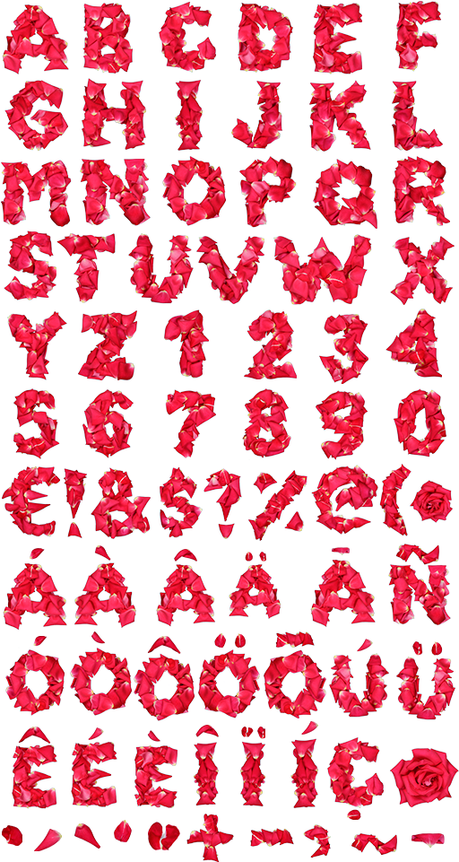 Rose Petal Alphabetand Numbers