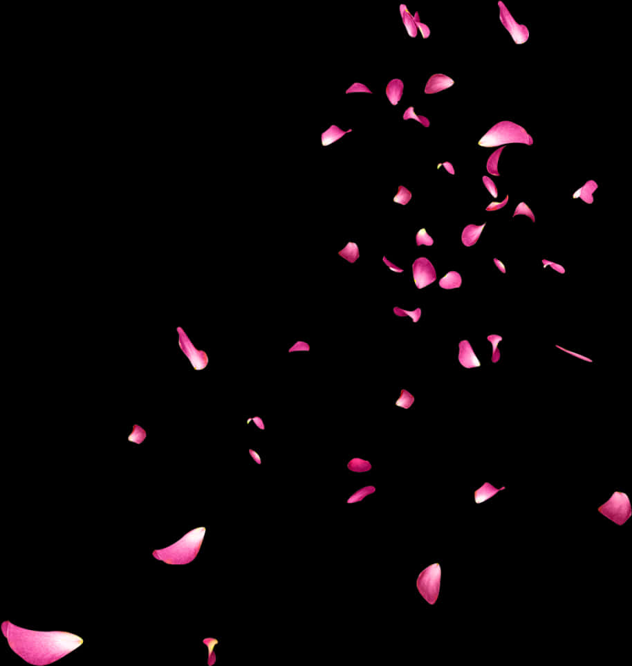 Rose_ Petals_ Falling_ Against_ Black_ Background.jpg