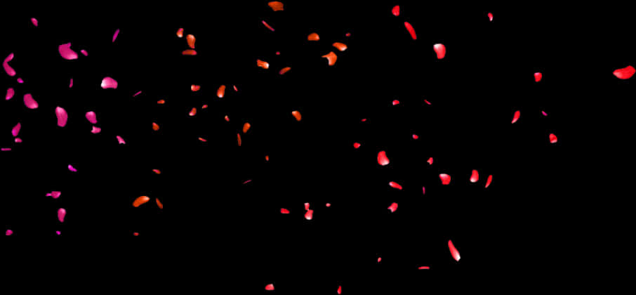 Rose Petals Falling Dark Background