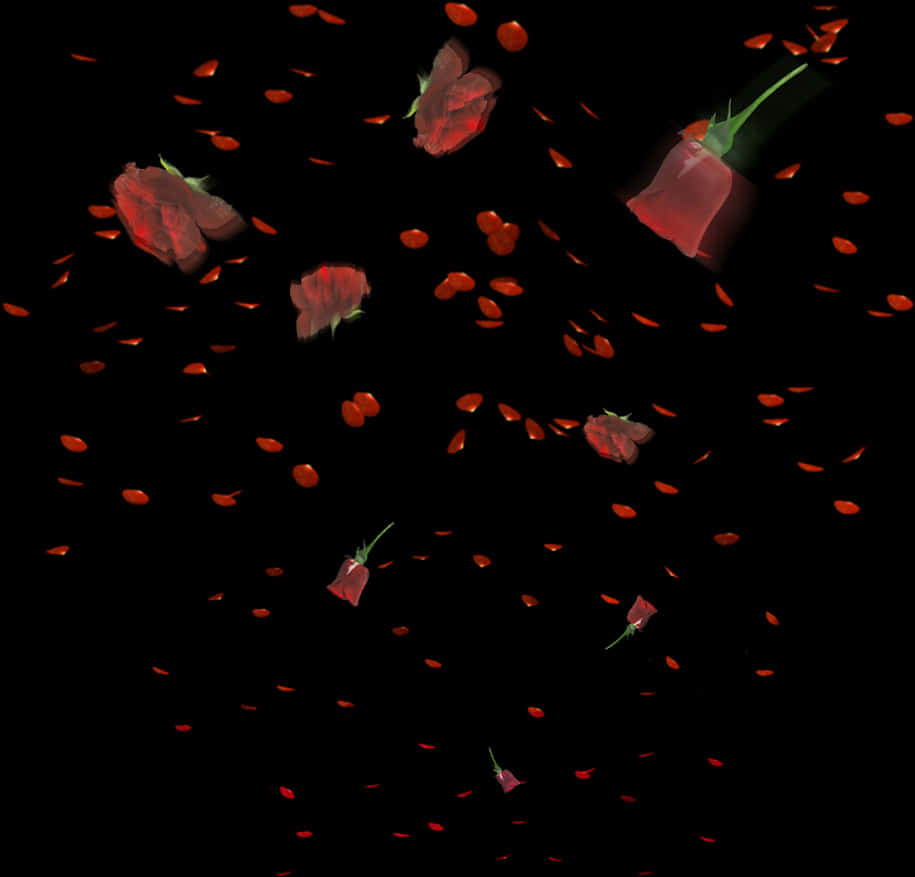 Rose_ Petals_ Falling_in_ Darkness.jpg