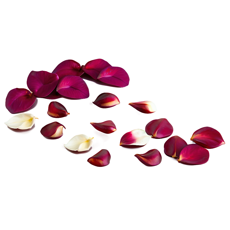 Rose Petals On Bed Png Cjm