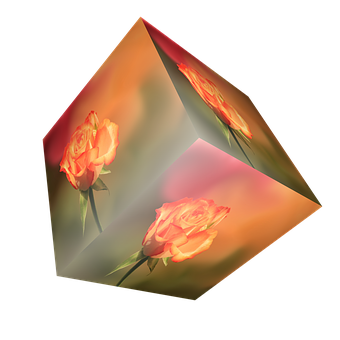 Rose Reflection Cube Art PNG with transparent background