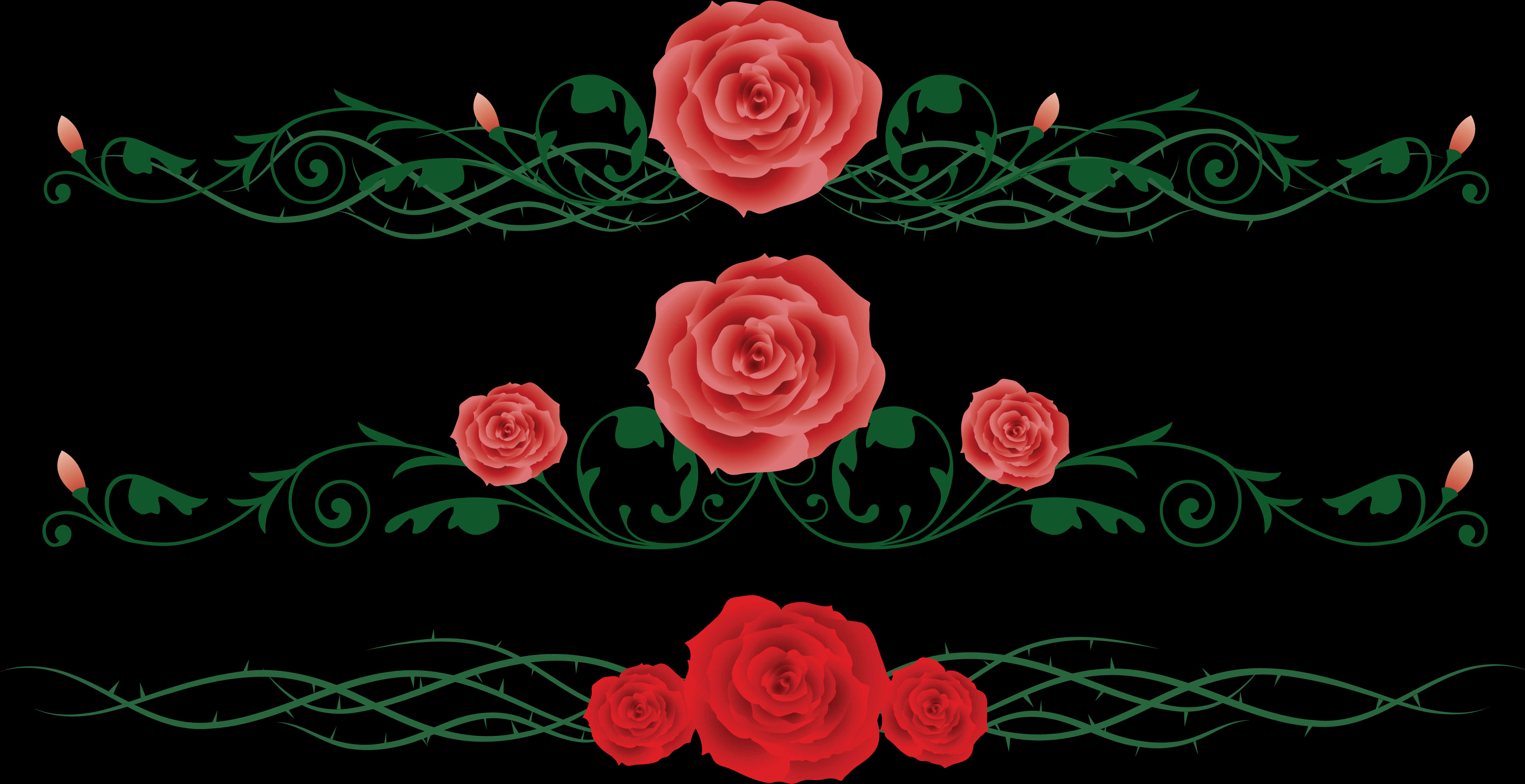 Rose Vine Floral Design PNG image with a transparent background, free high-resolution download