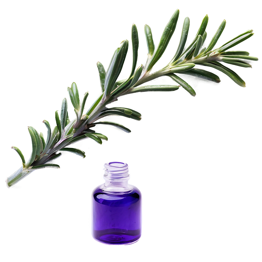 Rosemary Essential Oil Png Fsd