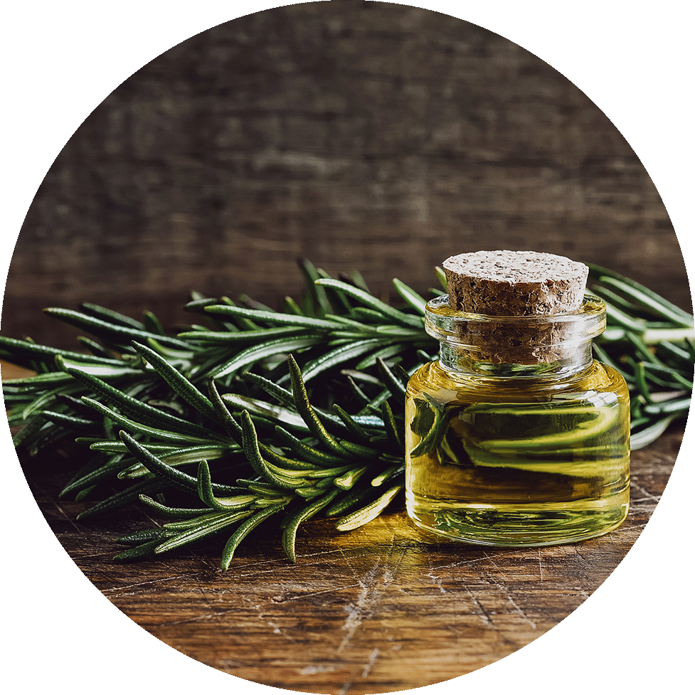 Rosemary Essential Oiland Fresh Herbs