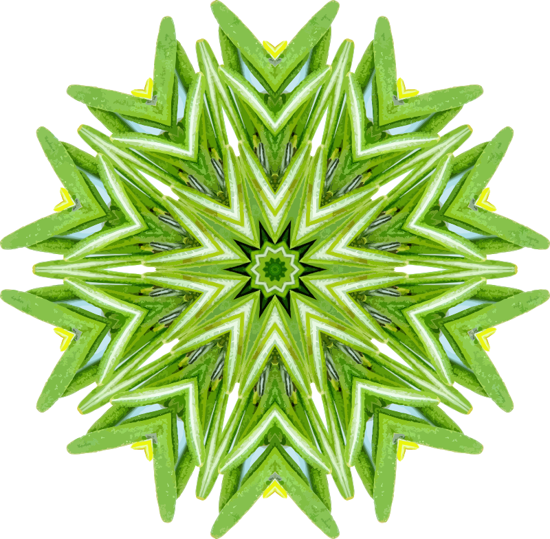Rosemary Kaleidoscope - Roblox Video Star Egg, HD Png Download PNG with transparent background