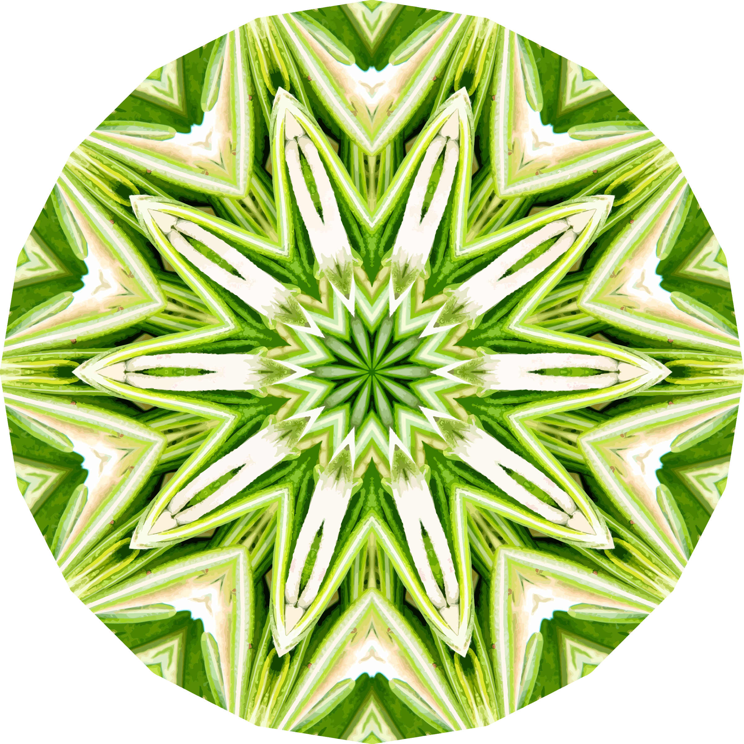 Rosemary Kaleidoscope 1 Clip Arts - Illustration, HD Png Download PNG with transparent background