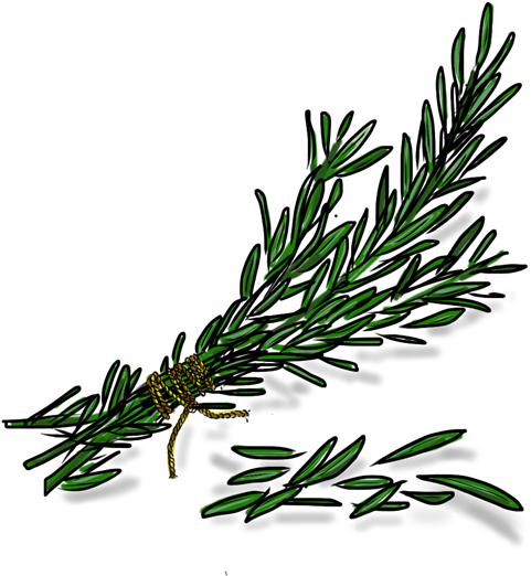 Crushed Rosemary Transparent, HD Png Download PNG with transparent background