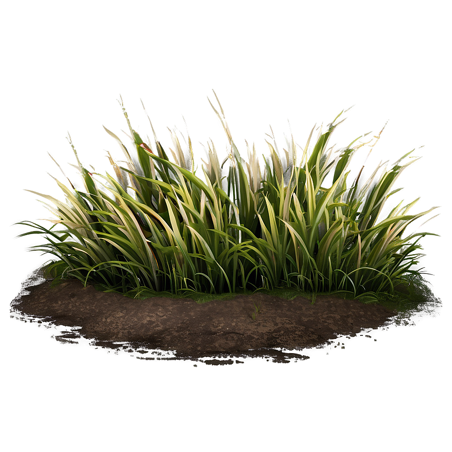 Rough Grass Patch Png 06212024