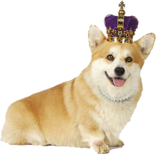 Royal Corgiwith Crownand Pearls.png