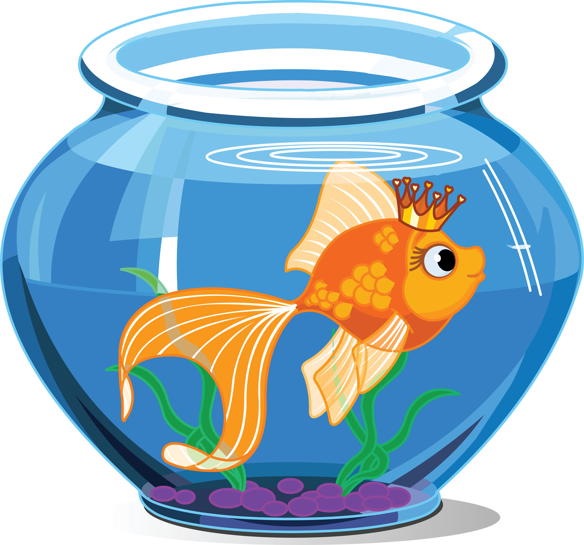 Transparent Fishing Clipart - Fish Inside The Aquarium, HD Png Download PNG with transparent background