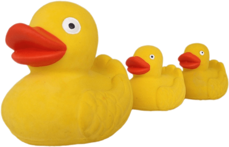 Rubber Duck Family Row