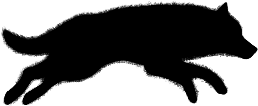 Concept Art Running Wolf 3 Image - Running Wolf Silhouette Png PNG with transparent background