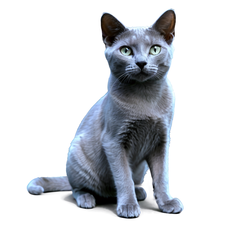 Russian Blue Cat Png Ggs