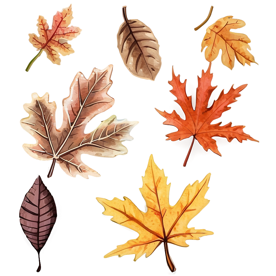 Rustic Fall Leaf Png Prb