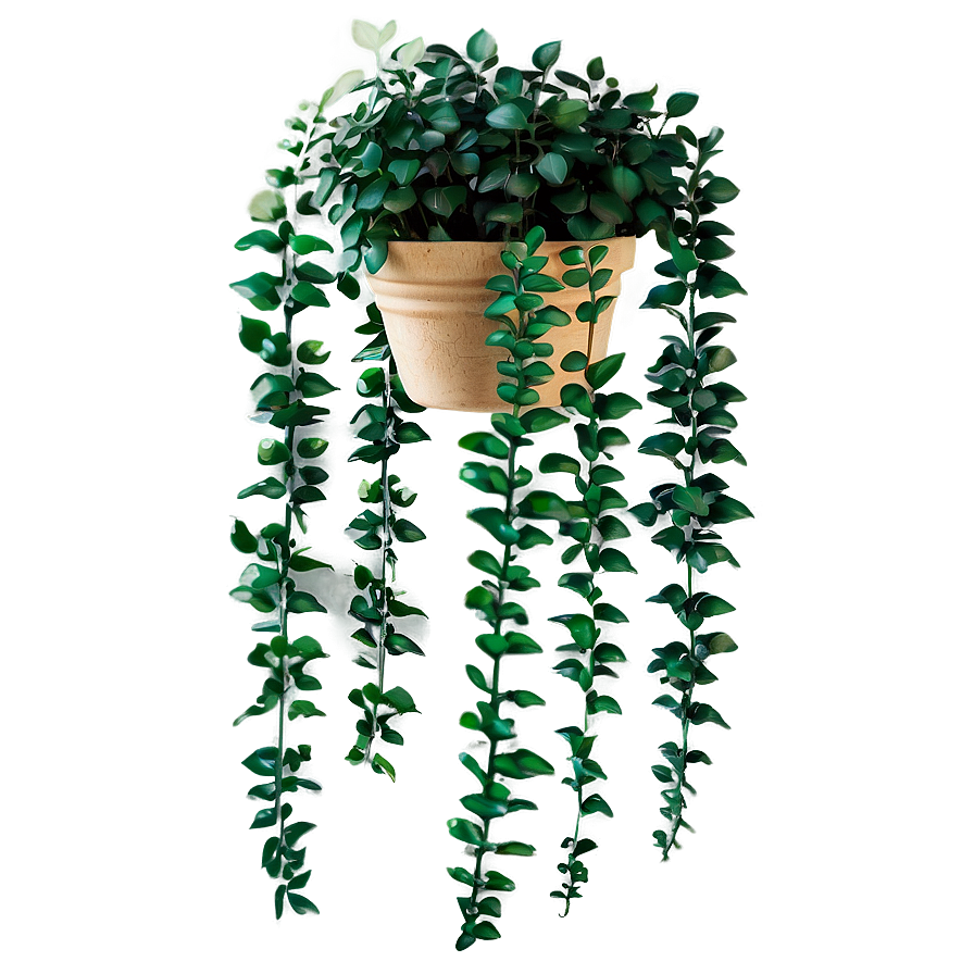 Rustic Hanging Plant Png 05252024