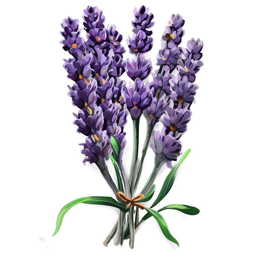 Rustic Lavender Bunch Png 06132024