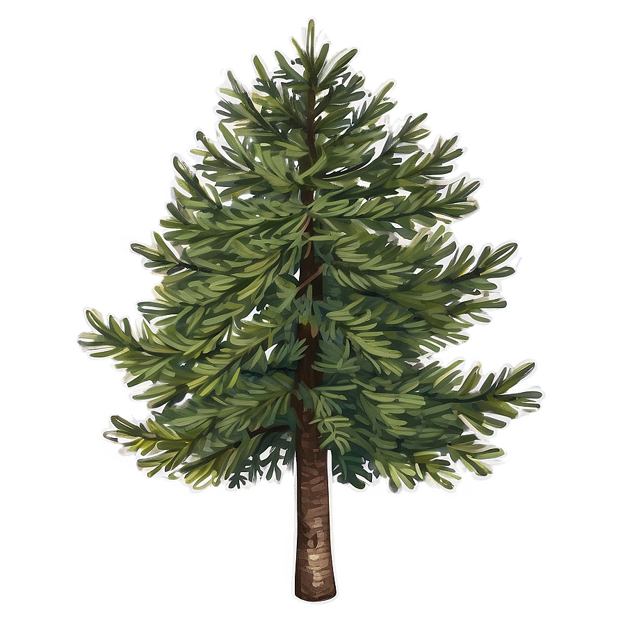 Rustic Spruce Tree Sketch Png 90