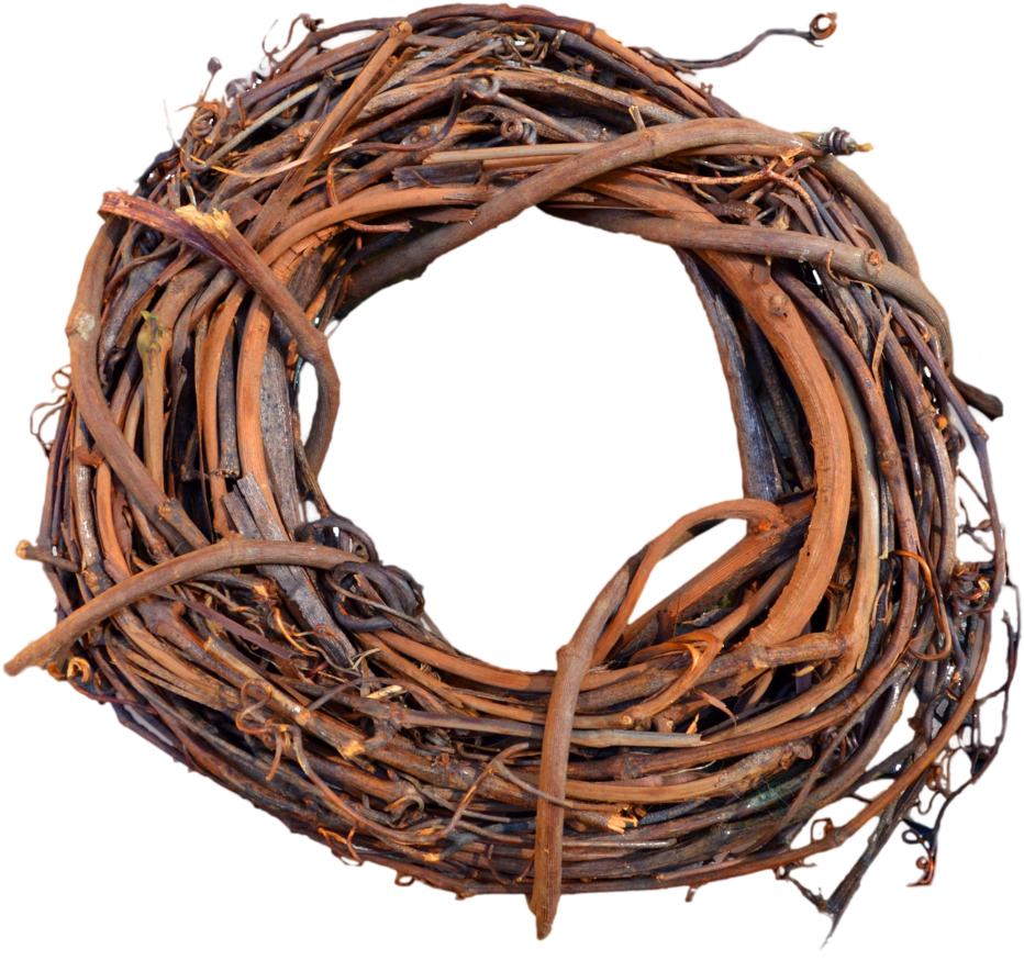Nest Png Transparent Background - Nest Png, Png Download PNG with transparent background
