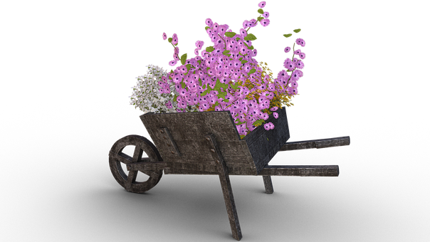 Rustic Wheelbarrowwith Flowers