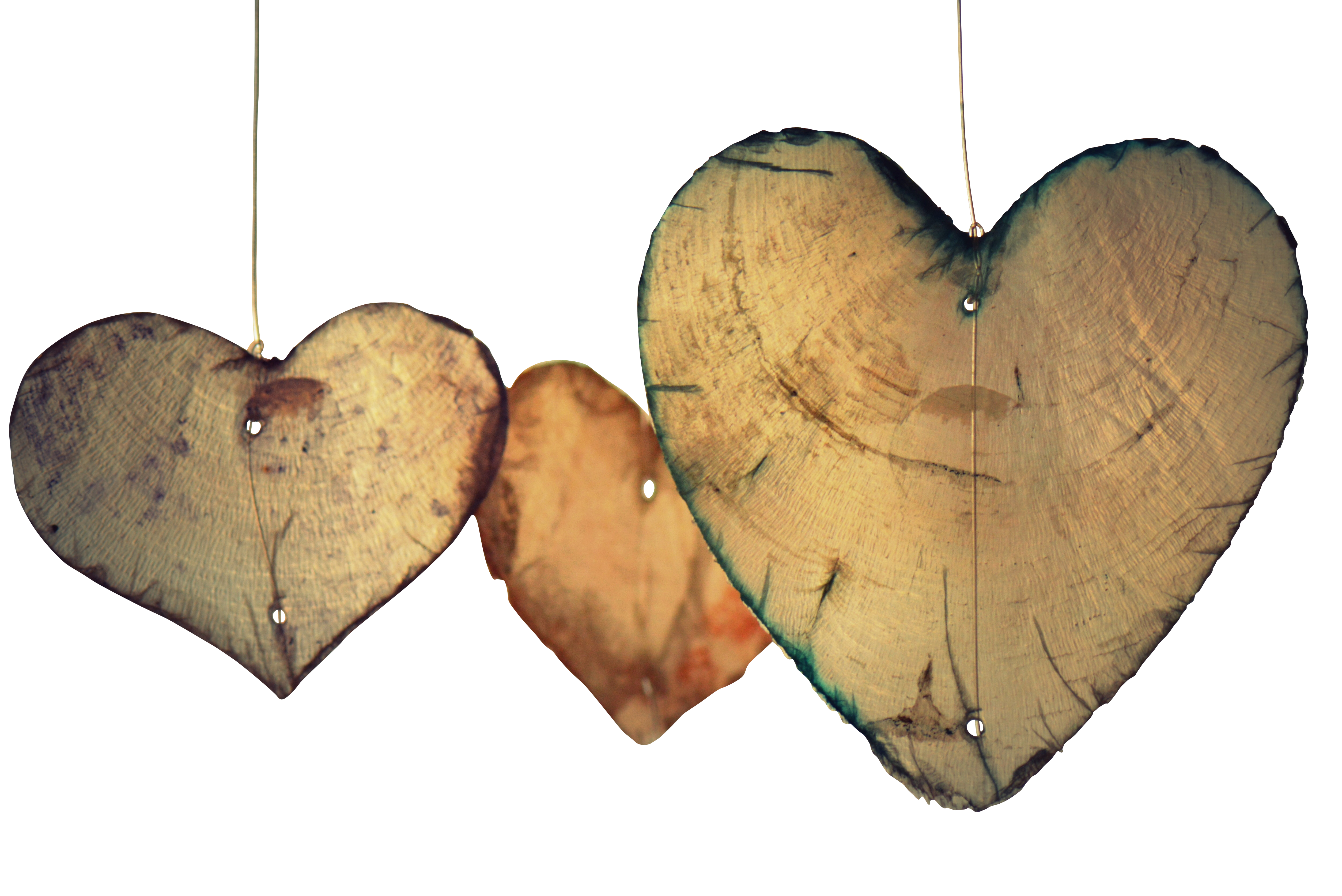 Rustic Wooden Heart Decorations