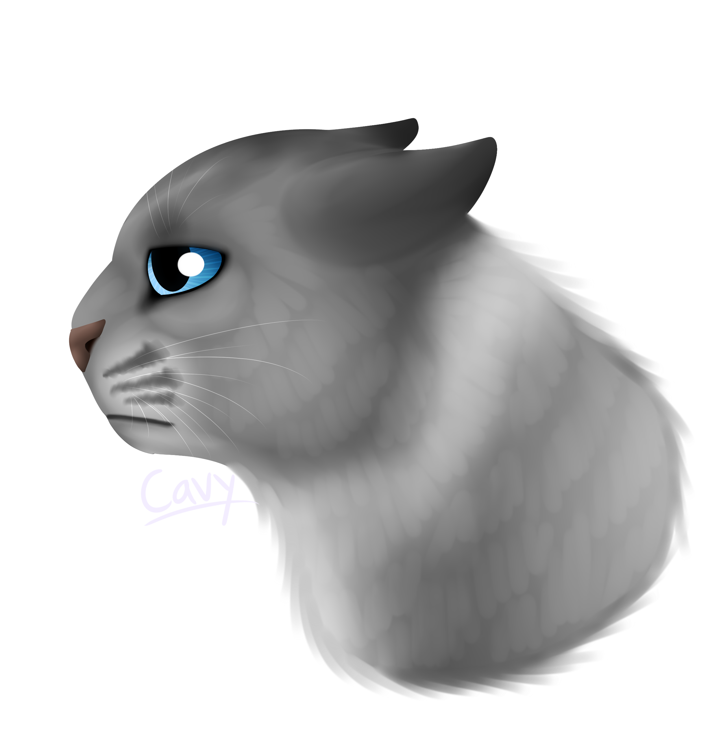 Sad Cat Png, Transparent Png PNG with transparent background