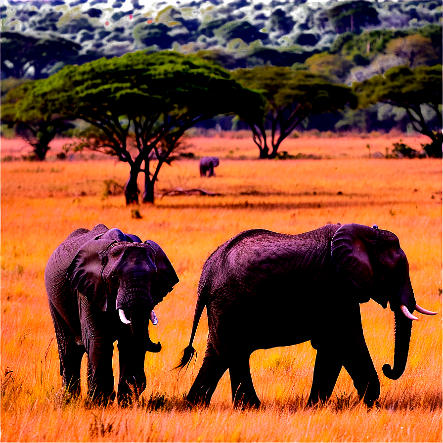 Safari Elephant Herd PNG egs PNG with transparent background