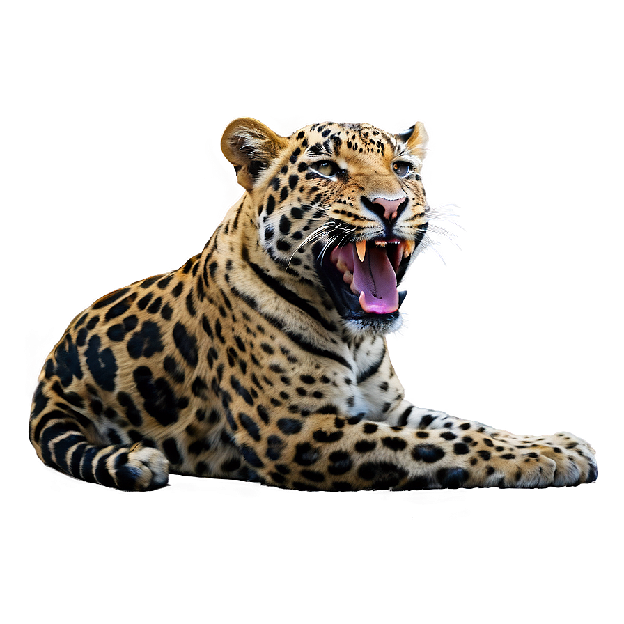 Safari Tracker Guide PNG 06122024 PNG with transparent background