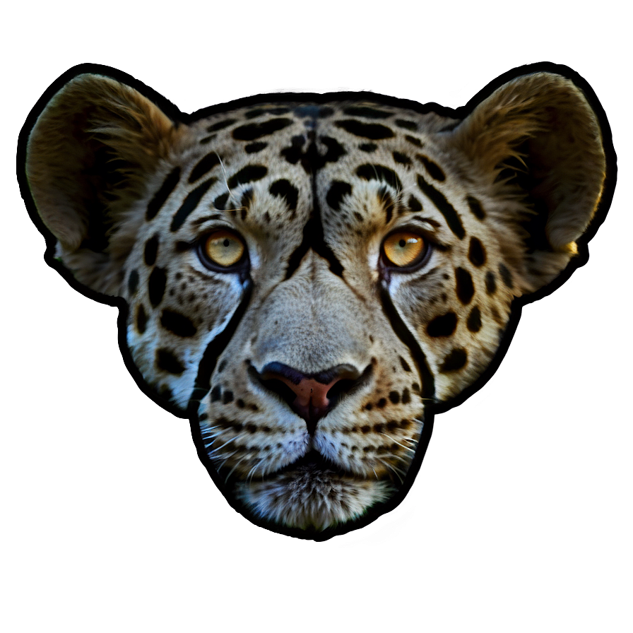 Safari Tracker Guide PNG 06122024 PNG with transparent background