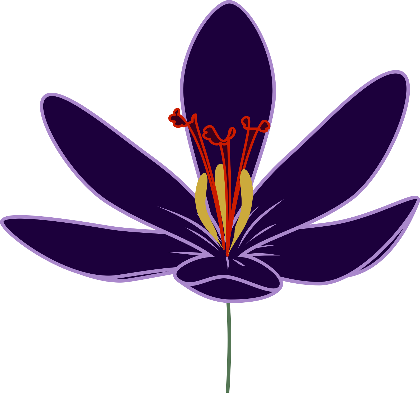 Crocus Transparent Png - Transparent Saffron Flower Png, Png Download PNG with transparent background