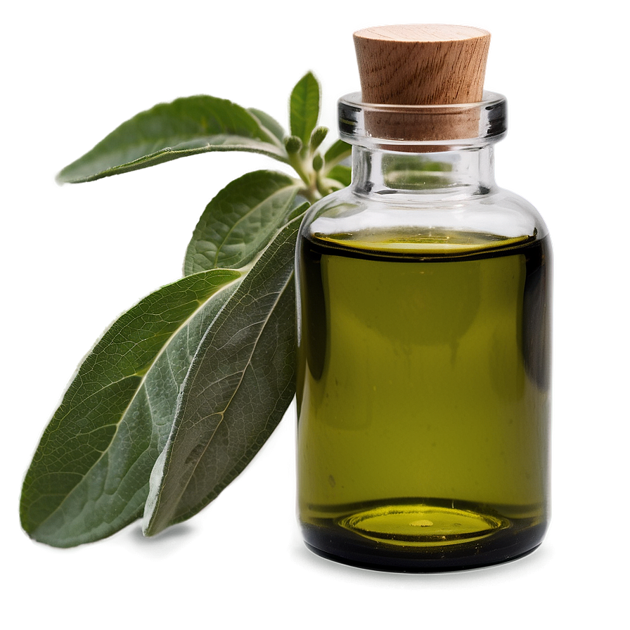 Sage Essential Oil Png 06292024