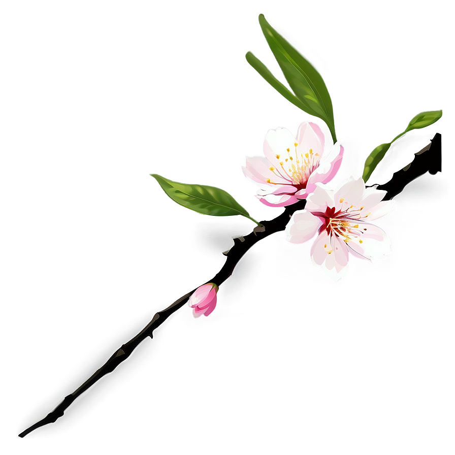 Sakura Branch PNG 06202024 PNG image with a transparent background, free high-resolution download
