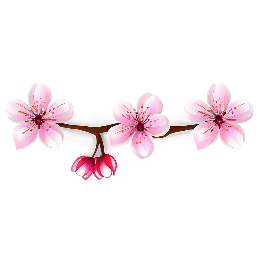 Sakura Flower Art PNG pfe PNG image with a transparent background, free high-resolution download