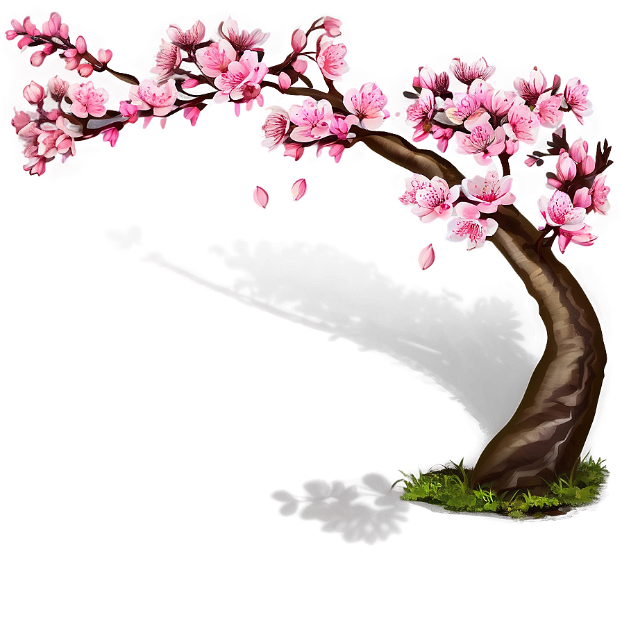 Sakura Tree Png 63