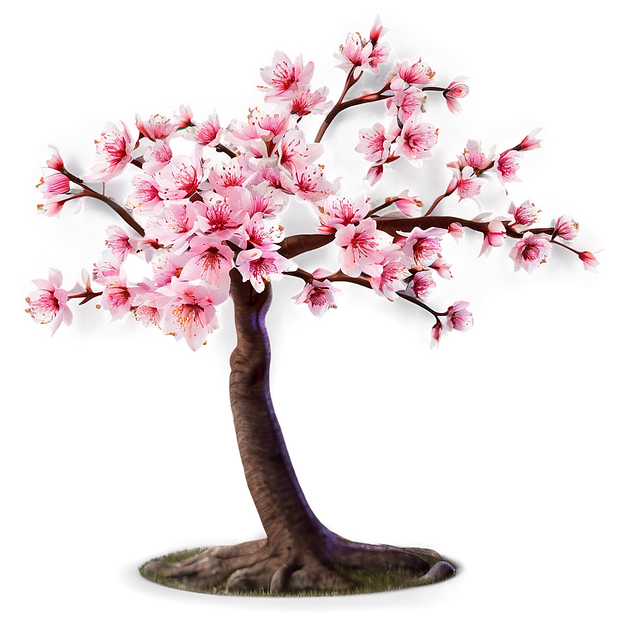 Sakura Tree PNG 88 PNG image with a transparent background, free high-resolution download