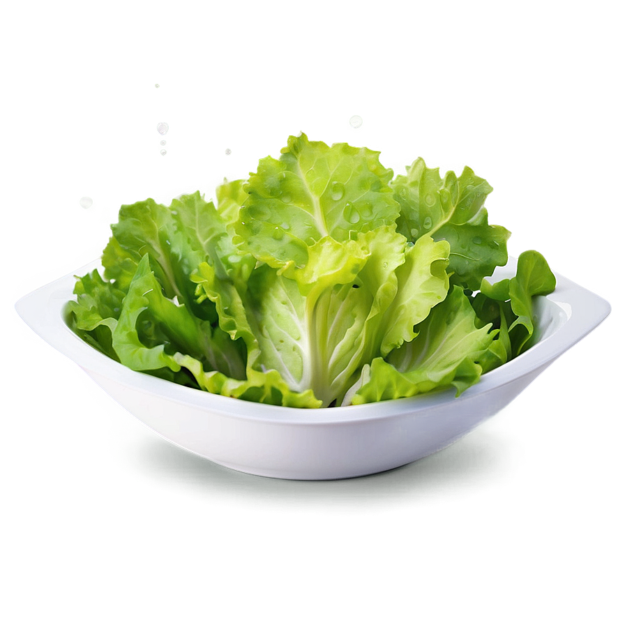 Salad Bowl Lettuce Png 10