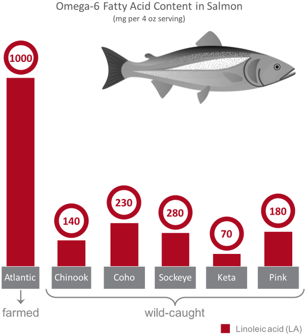 Wild Versus Farmed Feed - Farmed Vs Wild Salmon Chart, HD Png Download PNG with transparent background