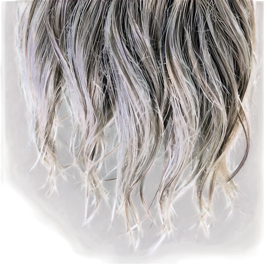 Salt And Pepper Hair Png Epe82