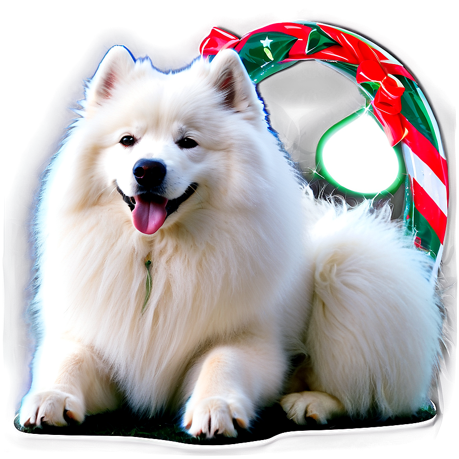 Samoyed With Festive Bow Png Jex