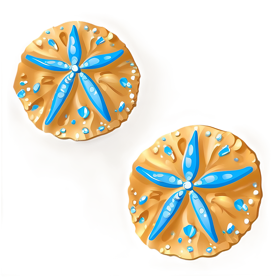 Sand Dollar Decoration Png 06212024