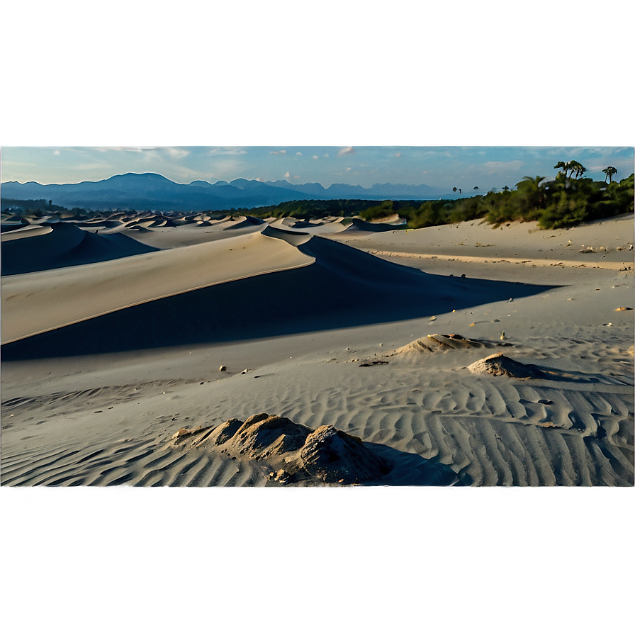 Sand Dunes And Fossil Discoveries Png Lns