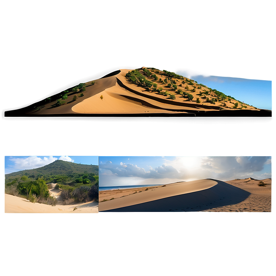 Sand Dunes Nature Reserve Png 06292024