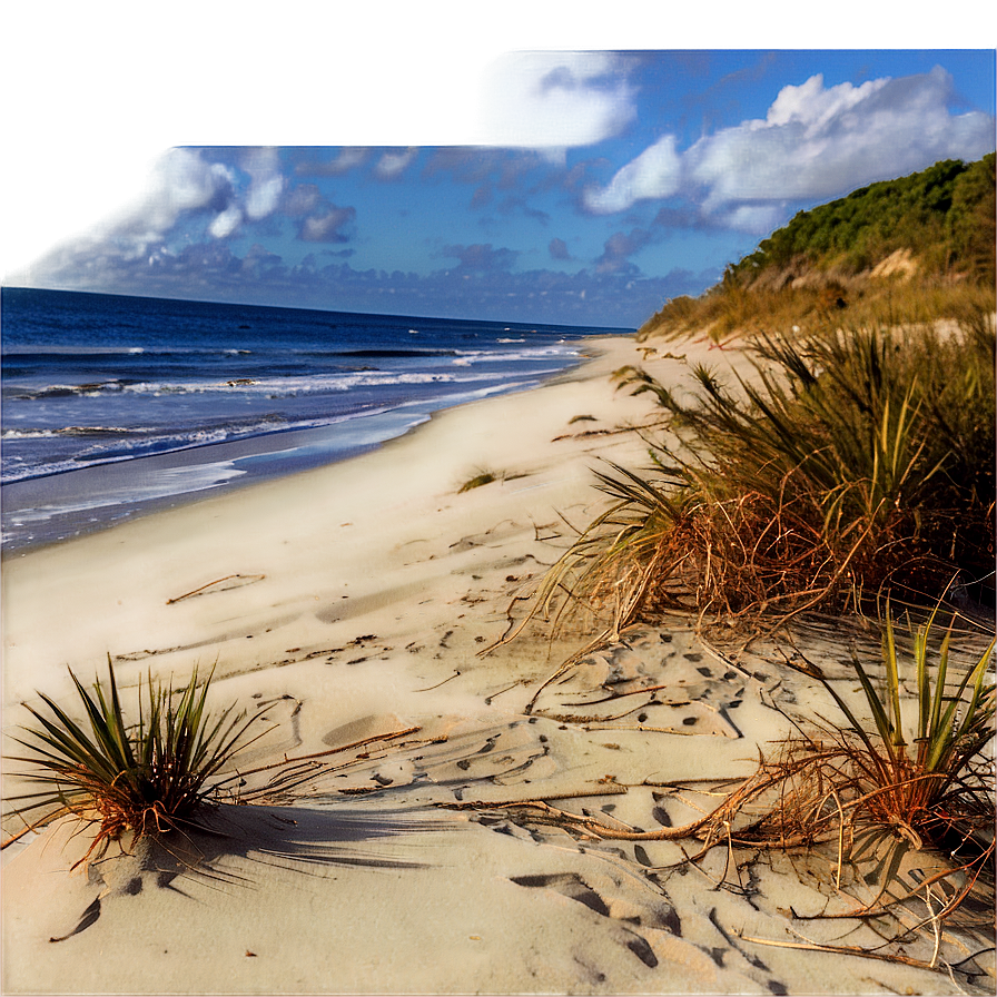 Sandy Coastal Dunes Landscape Png Dsl