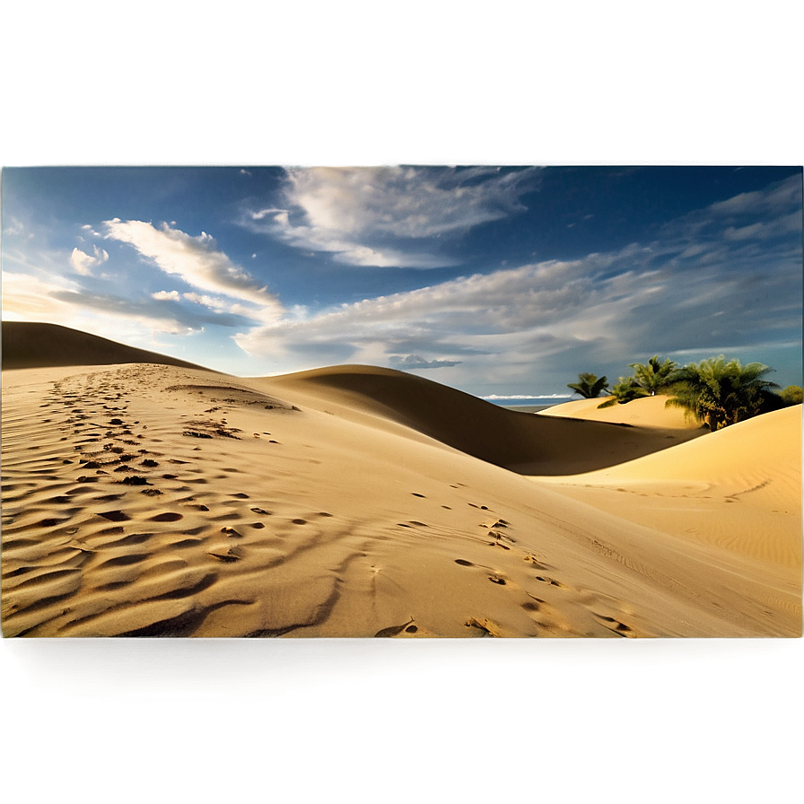 Sandy Dunes Landscape Png 48