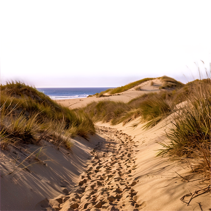 Sandy Path Through Dunes Png 06242024