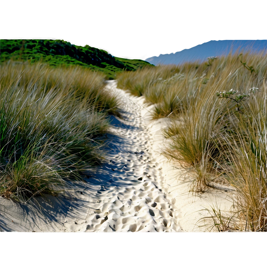 Sandy Path Through Dunes Png Pkg