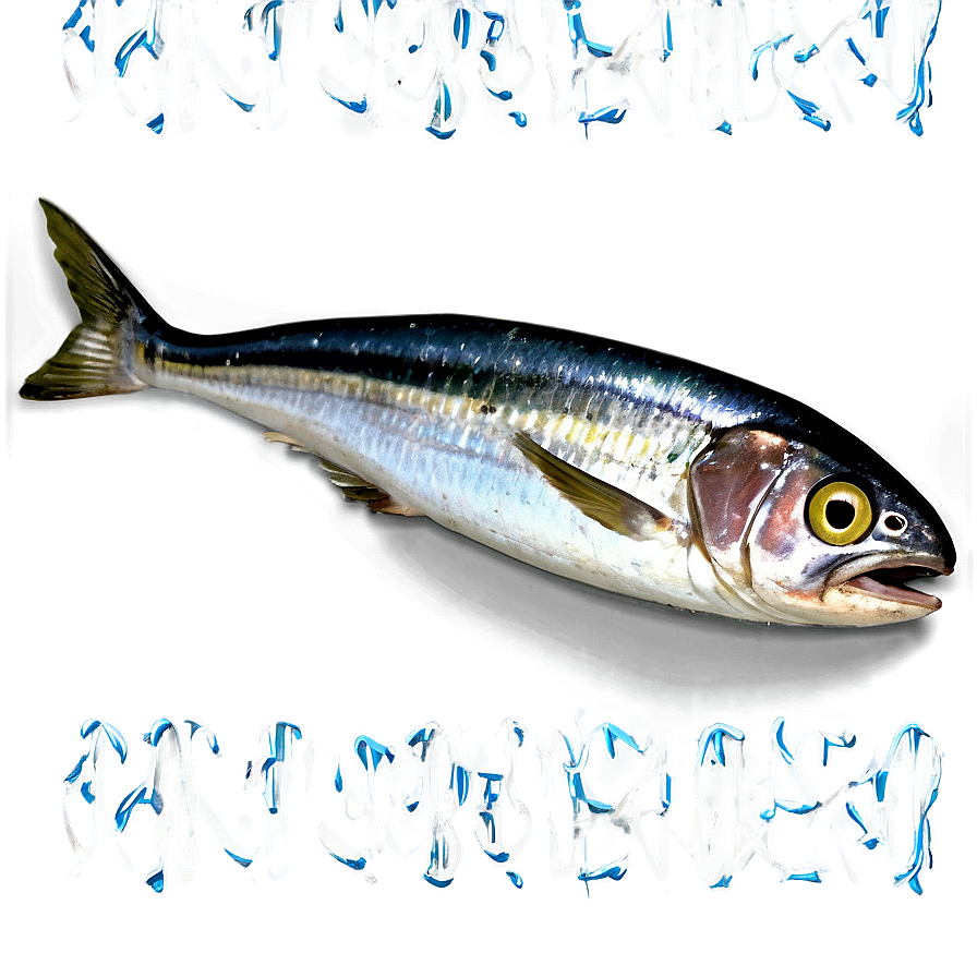 Sardine Can Open Png Fmd